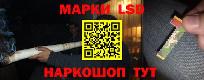шишки Обнинск