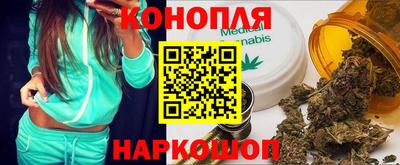 МДПВ Обь