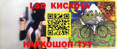 шишки Обнинск