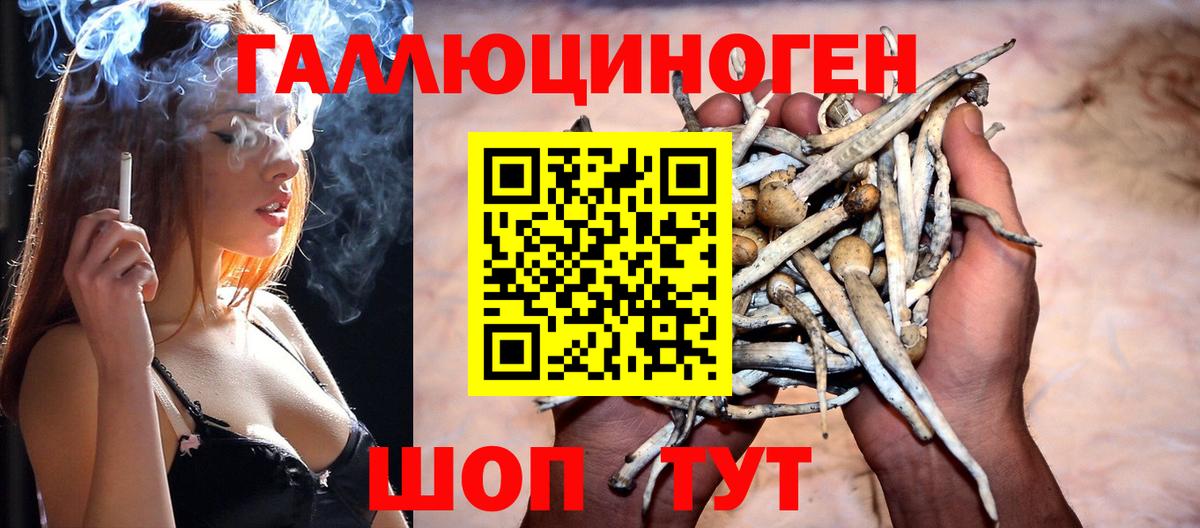 Галлюциногенные грибы Magic Shrooms Ржев