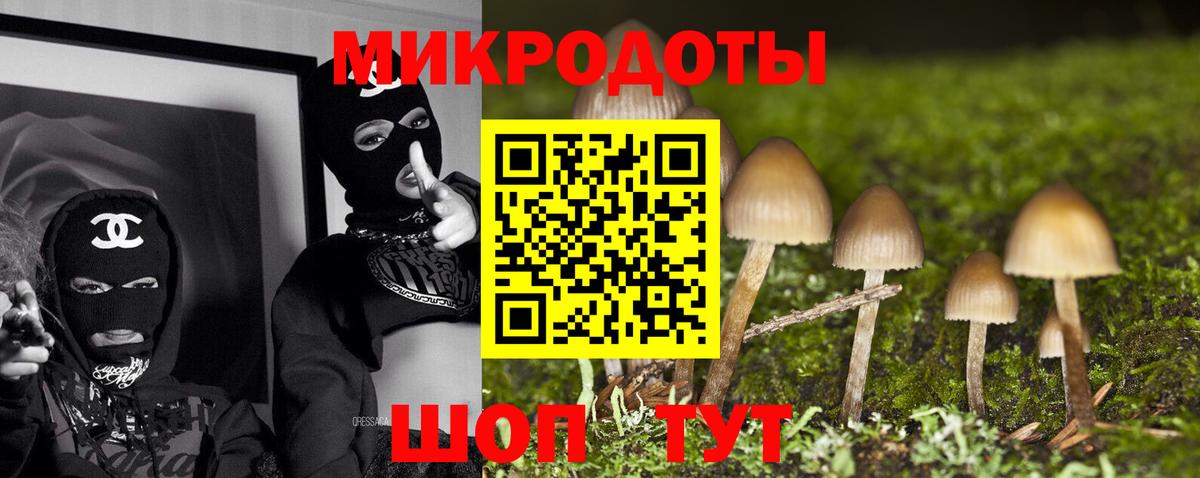 даркнет сайт  Псилоцибиновые грибы мицелий  Вход с VPN  Ржев  Галлюциногенные грибы MAGIC MUSHROOMS 